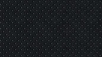 BLACK LEATHER ACCENTED^ SEAT TRIM WITH ULTRASUEDE® INSERTS