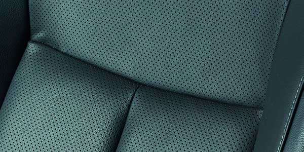 Leather Trim