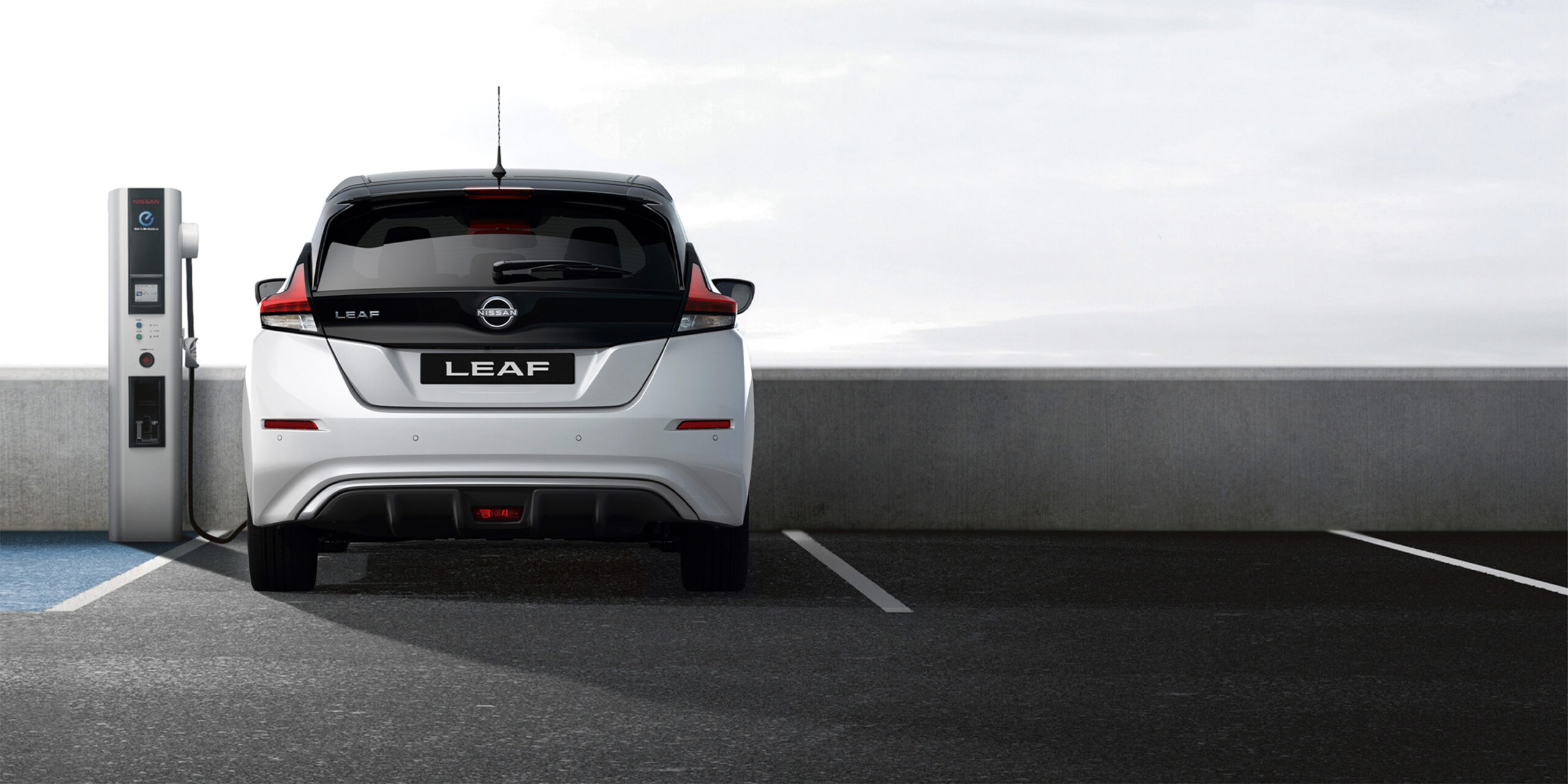 Leaf 23 Rear Carpark White RGB 3000x1500 1 scaled