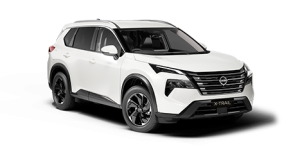 ST L 4x4 ICE P33A L2 QBE 007 1